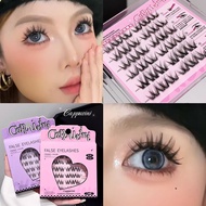 Cappuvini 5D Flower Roll Glue-Free Natural False Eyelashes Domestic Student Party Temperament False 