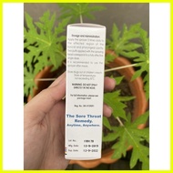 ✅ ❏ ℗ KAMILLOSAN M Anti-inflammatory Spray