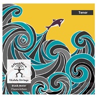 [Enxin Musical Instruments] aNueNue Black Water Strings Ukulele 26 Inch Fluorocarbon Fiber Rainbow M