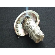 Abalone Shell healing bowl