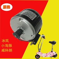 ◕ Electric scooter 24V 300W belt pulley with Ice Blue Dolphin motor 250W Vicoran MY1016