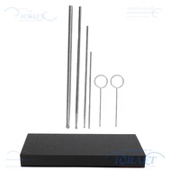 ICRAFT 6pcs Snake Probe Kit, Round Head Non Toxic Snake Sexing Probe, Durable Stainless Steel 5 Diff