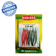 Benih Fertigasi Cili Kulai 461 SAKATA Hot Pepper F1 Hybrid SJ2-461 Seeds 10G