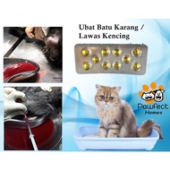 Ubat Batu Karang kucing / Urine Stone / Lawas Kencing - 10 Biji