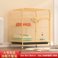 Cat Household Two-Layer with RER0