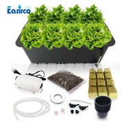 6 Holes 8 Holes 11 Holes Hydroponic Seedlings 11L Black Box, Hydroponic Vegetable Planting Box