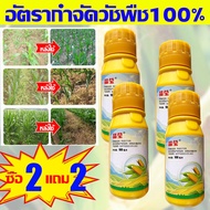 🌽เห็นผลทันที🌽 ฆ่าหญ้าข้าวโพด 100ML เข้มข้นสุด ยาชุดข้าวโพด นิโคซัลฟูรอน4%+อาทราซีน20% ยาฆ่าหญ้าข้าวโพด อัตรากำจัดวัชพืช100% ฆ่าแค่วัชพืชไม่ทำลายข้าวโพด ใช้1ครั้ง นาข้าวโพด100 ปีไม่มีวัชพืช ยาฆ่าหญ้าในข้าวโพด ยาฉีดหญ้าข้าวโพด ยาฆ่าหญ้าไร่ข้าวโพด