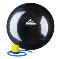 [送料無料] Black Mountain Products ポンプ 85cm の黒が付いている 2000lbs 静的な強さの練習の安定性の球 [楽天海外通販] | Black Mountain Pr