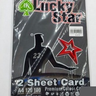 【1PACK=100SHEET ! ! !】LUCKY STAR A4 SIZE PREMIUM 2 SHEET CARD / COLOUR CARD 120GSM  ( DARK COLORS ) 