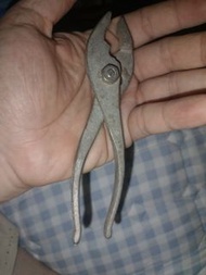 日本鯉魚鉗