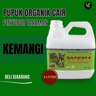 Liquid Organic Fertilizer for Basil Plants Wide Leaf Basil/s Ready-to-Plant Basil/s Fresh Basil/s /s