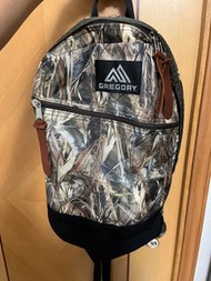 Gregory Backpack