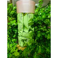 Chocolate Beryls Tiramisu Almond Matcha Green Tea ( 25pcs )