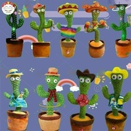 Dancing Cactus