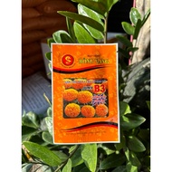 American marigold seeds F1 tall with red orange Super B3 (Large dwarf flower) Golden Dragon 1g