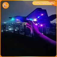 Homyl F22 Raptor Fighter Ready to Fly Remote Distance 200M Remote Control Airplane