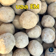 อีเอ็มบอล (EM Ball) จุลินทรีย์บำบัดน้ำเสีย 1 ลูก ลูกบอลem ปรับสภาพน้ำ จุลินทรีย์em บําบัดน้ําเสีย