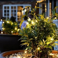 5米10米派對專業燈串|5M, 10M Xmas Lighting Strips, Party Decoration LED Lightings [Christmas decoration, Chri