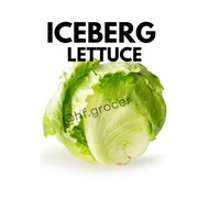Iceberg Lettuce 1pc Vegetable Salad Sayur