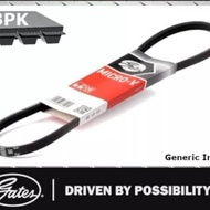 FAN BELT 3PK 750 GATES