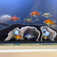 Hiasan Gua Akuarium, Gua Pleco Bercetak 3D Semula Jadi, Hiasan Tempat Persembunyian Ikan untuk Cichl