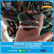 Kerang Hijau FRESH - KERANG IJO SEGAR SEAFOOD / Kerang Ijo Hijau PRAKTIS