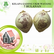 KELAPA GADING GAMBAR WAYANG 7 BULANAN TINGKEPAN