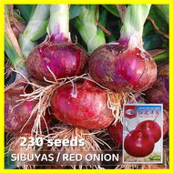 เมล็ดพันธุ์ หัวหอม คุณภาพดี ราคาถูก ของแท้ 100% Red Onion Seeds for Planting Vegetables - งอกง่าย 230เมล็ด/ซอง High Yield Onion Vegetable Seeds Organic Onion Plants เมล็ดพันธุ์พืช เมล็ดพันธุ์ผัก เมล็ดผัก เม็ดผัก ผักสวนครัว พืชผัก ปลูกผัก บอนสี เมล็ดบอนสี