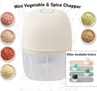 250ML Cordless Mini Food Processor, Rechargeable Electric Garlic Chopper, Portable Stainless Steel Blade Blender