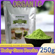 Barley grass official store Organic Barley Grass Powder original 250g Grass Juice Powder with Rich Dietary Fiber, No Addtives