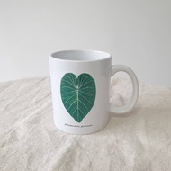 植物 錦緞蔓綠絨 觀葉植物 馬克杯