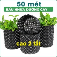 Bầu ươm cây V6 CAO 20CM dày 6mm cắt theo mét dài khách đặt tặng ốc vít-77906