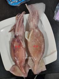 冰捲 鮮甜Q彈 冰涼爽脆 魷魚 海鮮 即食