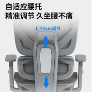 Dormitory Sedentary Ergonomic Computer Chair Office Chair Student Household Gaming Liftable Chair D4