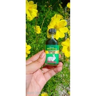 Minyak Arnab Jantan Mujarab