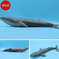 【Spot】New Simulated Sea Life Models Toys Animal Action Figure Blue whale Whale Toy Figures for Child