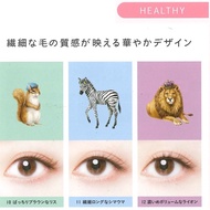Koji Dolly Wink Salon Eye Lash Healthy [2Pairs With Glue] No.10 - No.12