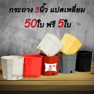 กระถาง 8เหลี่ยม กระถางแคคตัส ขนาด 3นิ้ว  (ชุด 50ใบ ฟรี 5ใบ) คละสี  | กระถางพลาสติก กระถางแคคตัส กระถางแปดเหลี่ยมตัดมุม