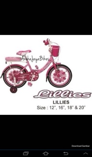 Sepeda Anak Family Lillies 16