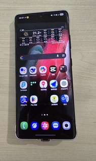 Samsung Galaxy S21 Ultra 5G+原廠S Pen