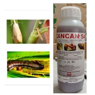 500ML CAN CAN 54EC lufenuron Racun Serangga SAMA MACAM Match Ulat Gulung Daun Ulat Putih Racun Bunuh