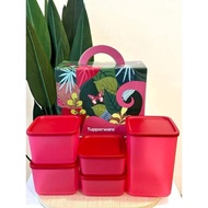 so fresh set tupperware