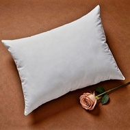 Dacron filled pillow 30x50 cm