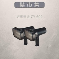 Good Horse Light CY-602 Dry Light 110V 500W