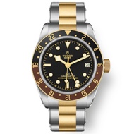 Tudor Tudor Men's Watch Biwan Series Watch Automatic Mechanical M79833MN