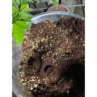 Bonsai Soil,