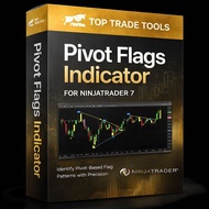 Top Trade Tools – Pivot Flags Indicator for NinjaTrader 7