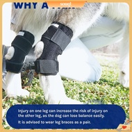 Souqt|  Dog Hind Leg Support Dog Acl Ccl Joint Injury Support Dog Rear Leg Brace for Acl Ccl Injury 