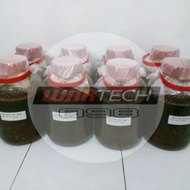 PromoHOT SALE Arak Gosok Herbal Fei Long - 10 Liter Berkualitas