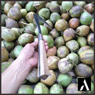 ARIT TEMBUS ARIT BAJA ARIT RUMPUT - PISAU SABIT
